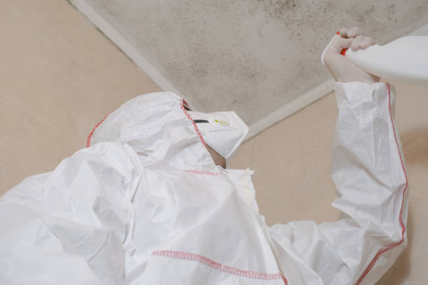 Best Mold Damage Restoration  in Gaithersburg, MD