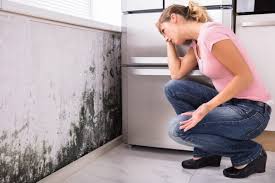 Best Biohazard Mold Removal  in Gaithersburg, MD