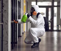 Mold Prevention & Removal